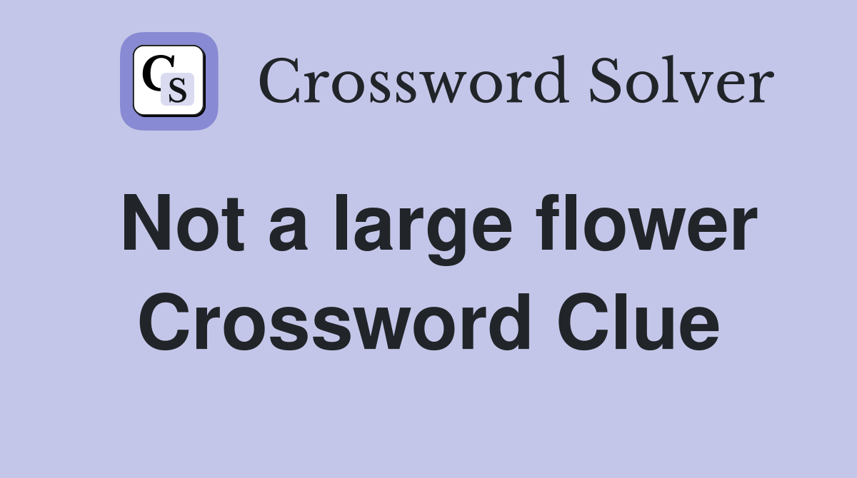 Not a large flower crossword clue answers crossword solver